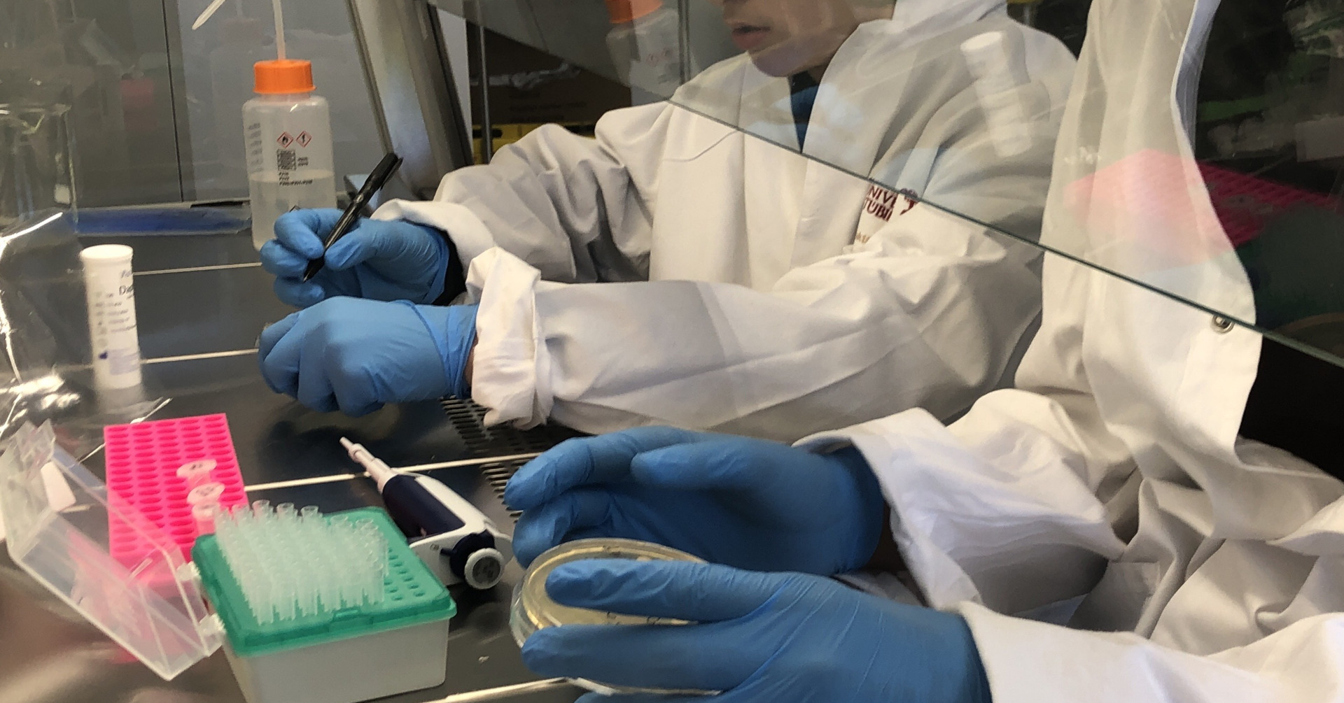 Thumb ticker xxl antibioresistenz
